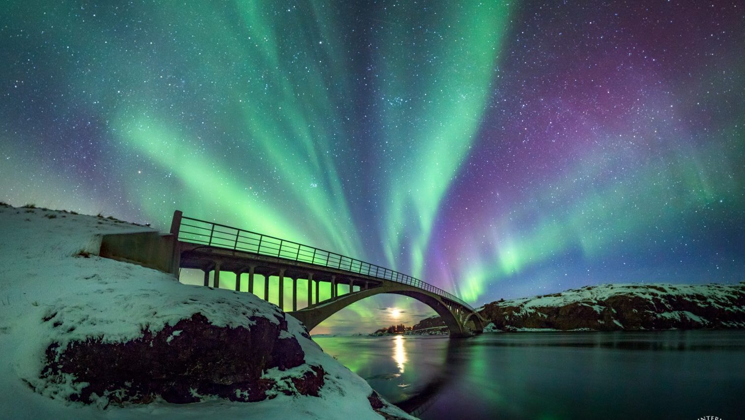 Northern Lights in Iceland