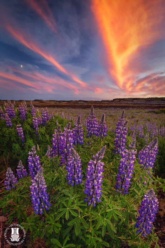 7 Day Photography Workshop - Midnight Sun in Iceland 2024