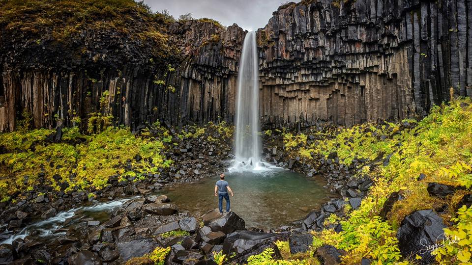 Svartifoss Waterfall Iceland
