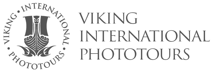 Viking International Phototours Logo